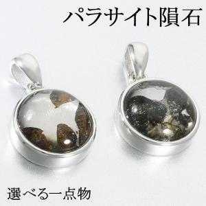 Silver925◇希少 パラサイト隕石 8mm 貔貅 ペンダントトップ 1個売り