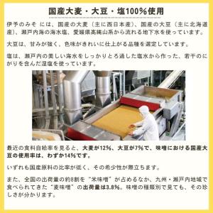 [ギノーみそ公式] 国産伊予のみそ・つぶ 70...の詳細画像4