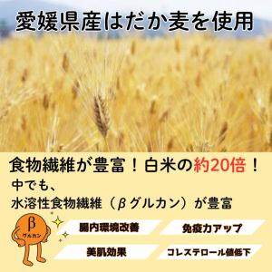 [ギノーみそ公式] ひしお 300g×3個│工...の詳細画像2