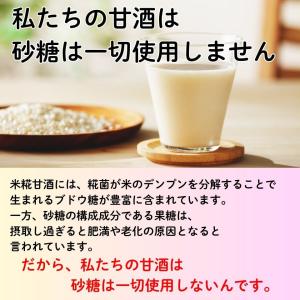 [ギノーみそ公式] 甘酒習慣・濃縮タイプ 30...の詳細画像2