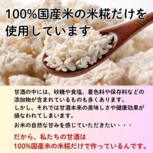 [ギノーみそ公式] 甘酒習慣・濃縮タイプ 30...の詳細画像3