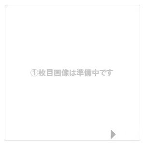 G-SHOCK 二次電池