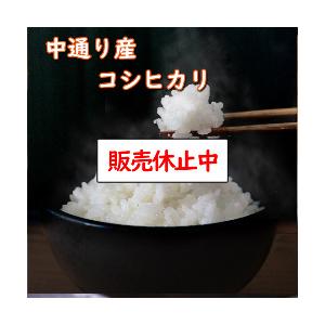 米 10kg 無洗米 乾式無洗米 福島中通り産コシヒカリ 送...