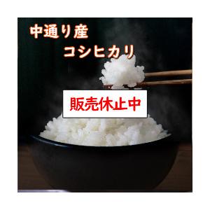 令和5年産 送料無料 無洗米 超々特売価格4,580円 お米 米 10kg 選べる精米方法 福島中通り産コシヒカリ