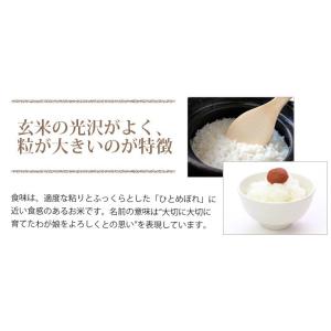 令和7年産 送料無料 無洗米 【新米価格7,9...の詳細画像2