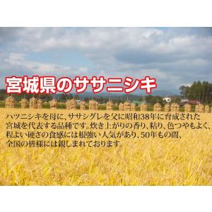 令和7年産 送料無料 無洗米 大感謝特別価格6...の詳細画像3