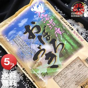 米 5kg お米 おぼろづき 北海道産 白米 令和6年産 送料無料