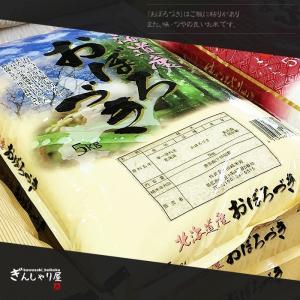 ポイント2倍 米 10kg 5kg×2袋セット...の詳細画像1