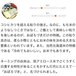 ポイント2倍 米 10kg 5kg×2袋セット...の詳細画像2