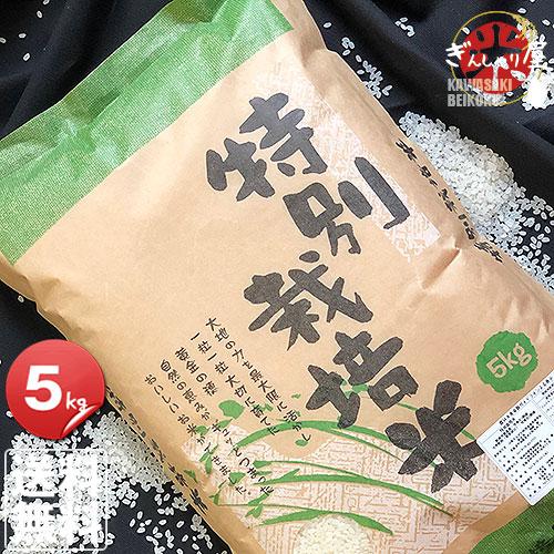 米 5kg お米 ななつぼし 北海道産 特別栽培米 白米 令和5年産 送料無料