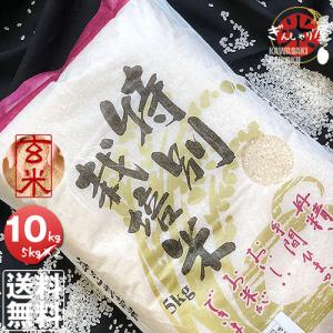 米 10kg 5kg×2袋セット お米 玄米 ゆめぴりか 北海道産 特別栽培米 玄米 白米 分づき米 令和6年産 送料無料