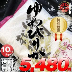 米 10kg 5kg×2袋セット お米 ゆめぴりか 北海道 栽培地域限定 JA新すながわ産 特別栽培米 白米 令和元年産 送料無料