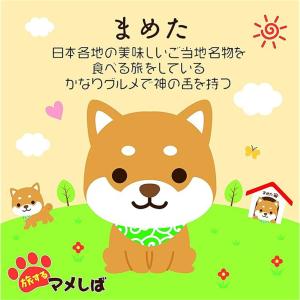 まめ柴ぬいぐるみボールチェーン バックチャーム...の詳細画像5