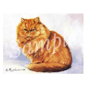 在庫限り　グリーティングカード Ruth　Persian　Brown　輸入雑貨　猫雑貨　ねこグッズ