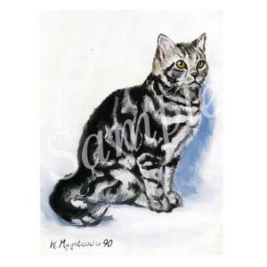 在庫限り　グリーティングカード Ruth　Grey Tabby 輸入雑貨　猫雑貨　ねこグッズ