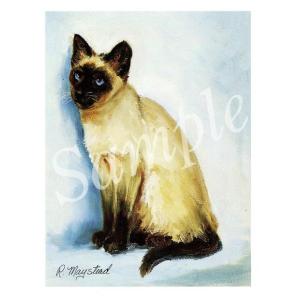 在庫限り　グリーティングカード Siamese　お座り　輸入雑貨　猫雑貨　ねこグッズ