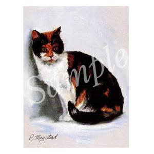 在庫限り　グリーティングカード Ruth　Calico　 輸入雑貨　猫雑貨　ねこグッズ