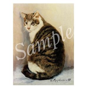 在庫限り　グリーティングカード Ruth　Cat　 輸入雑貨　猫雑貨　ねこグッズ