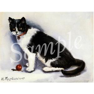 在庫限り　グリーティングカード Ruth　Black and White Bicolor　 輸入雑貨　猫雑貨　ねこグッズ