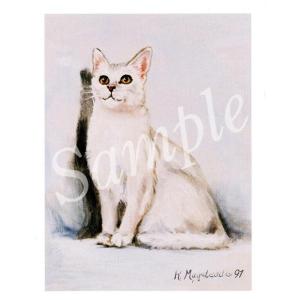 在庫限り　グリーティングカード White Shorthair　輸入雑貨　猫雑貨　ねこグッズ
