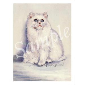 在庫限り　グリーティングカード White Longhair　輸入雑貨　猫雑貨　ねこグッズ