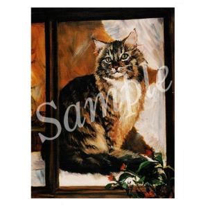 在庫限り　グリーティングカード Ruth　Maine Coon　Brown　輸入雑貨　猫雑貨　ねこグッズ