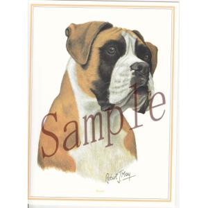 在庫限り　グリーティングカード　ボクサー　在庫限り　 輸入雑貨　犬雑貨　犬グッズ