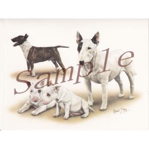 在庫限り　グリーティングカード　ブル・テリア　在庫限り　輸入雑貨　犬雑貨　犬グッズ