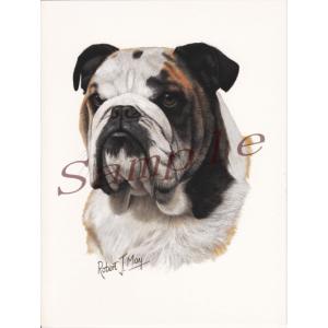 在庫限り　グリーティングカード　ブルドッグ　在庫限り　輸入雑貨　犬雑貨　犬グッズ