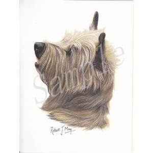 在庫限り　グリーティングカード　ケアーンテリア　レッド　在庫限り　輸入雑貨　犬雑貨　犬グッズ