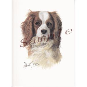 在庫限り　グリーティングカード　キャバリア2　在庫限り　輸入雑貨　犬雑貨　犬グッズ