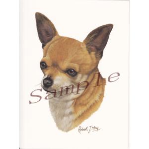 在庫限り　グリーティングカード　チワワ　在庫限り　輸入雑貨　犬雑貨　犬グッズ