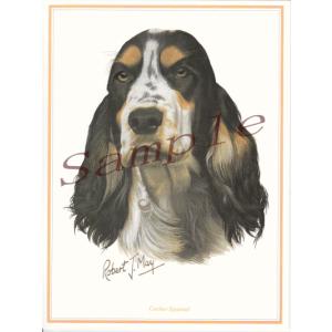 在庫限り　グリーティングカード　コッカー・スパニエル　在庫限り　輸入雑貨　犬雑貨　犬グッズ