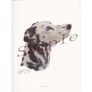 在庫限り　グリーティングカード　ダルメシアン　在庫限り　輸入雑貨　犬雑貨　犬グッズ