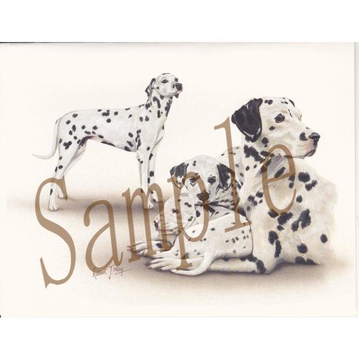 在庫限り　グリーティングカード　ダルメシアン　グループ　在庫限り　輸入雑貨　犬雑貨　犬グッズ