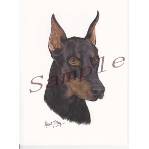 在庫限り　グリーティングカード　ドーベルマン　在庫限り　輸入雑貨　犬雑貨　犬グッズ