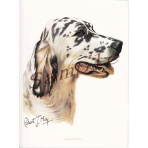 在庫限り　グリーティングカード　イングリッシュ・セッター　在庫限り　輸入雑貨　犬雑貨　犬グッズ