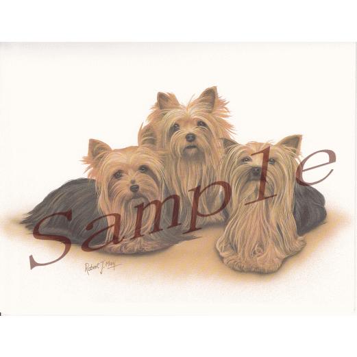 在庫限り　グリーティングカード　ヨークシャー・テリア/ヨーキー　在庫限り　輸入雑貨　犬雑貨　犬グッズ