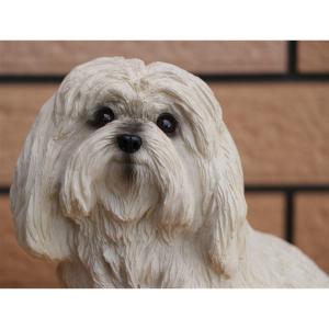 在庫限り フィギュア ドッグ マルチーズ 輸入...の詳細画像4