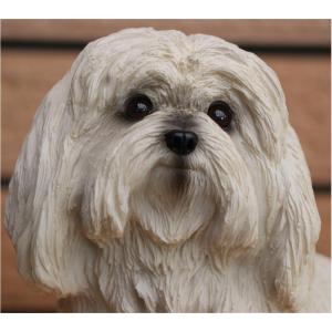 在庫限り フィギュア ドッグ マルチーズ 輸入...の詳細画像5