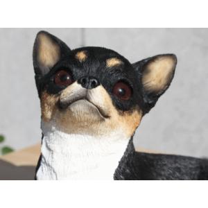 在庫限り フィギュア ドッグ チワワ 輸入雑貨...の詳細画像2