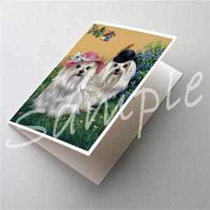 在庫限り　グリーティングカード　マルチーズ Mr & Mrs　輸入雑貨　犬雑貨　犬グッズ