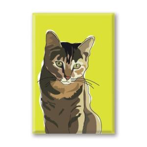 在庫限り　マグネットシリーズ　Cat Tabby Green　輸入雑貨　猫雑貨　ねこグッズ　Cat