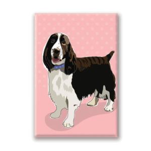 在庫限り　マグネットシリーズ　スプリンガー・スパニエル/スタンディング　輸入雑貨　犬雑貨　犬グッズ