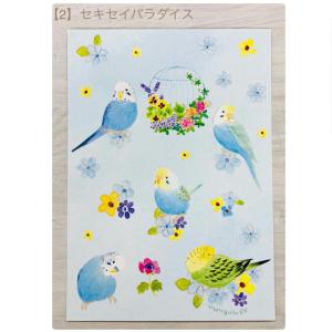 ポストカード☆ことりシリーズ 鳥雑 貨・ことり...の詳細画像2