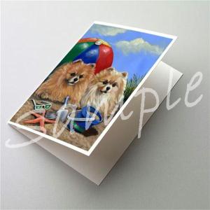 在庫限り　グリーティングカード　ポメラニアン Beach　輸入雑貨　犬雑貨　犬グッズ