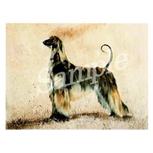 アフガンハウンド グッズ 犬用品 の商品一覧 ペット用品 生き物 通販 Yahoo ショッピング