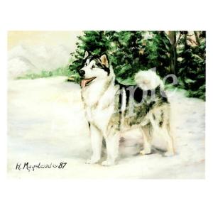 在庫限り グリーティングカード Ruth アラス...の商品画像