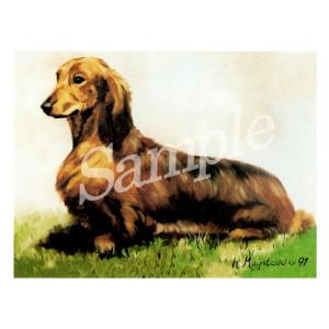 在庫限り　グリーティングカード Ruth　ダックスフンド Long Hair　輸入雑貨　犬雑貨　犬グ...