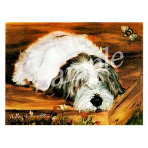 プチバセットグリフォンの商品一覧 通販 Yahoo ショッピング